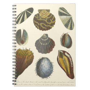 Collectie voor conchologie notitieboek