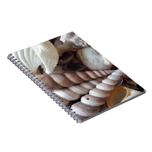 Collectie voor exotische zeeschelpen, zomerstrand notitieboek (Rechterzijde)