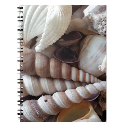Collectie voor exotische zeeschelpen, zomerstrand notitieboek (Voorkant)