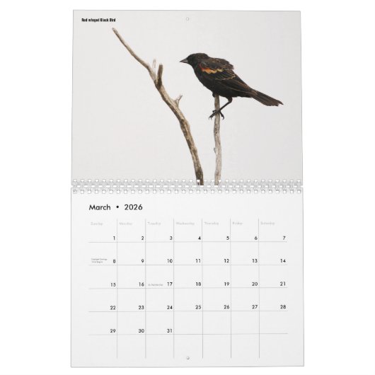 Collectie voor vogelfotografie kalender (Mar 2026)