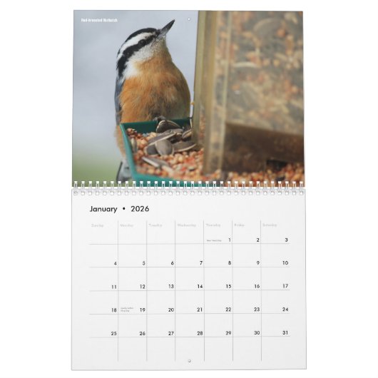 Collectie voor vogelfotografie kalender (Jan 2026)