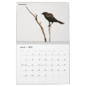 Collectie voor vogelfotografie kalender (Mar 2027)