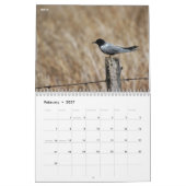 Collectie voor vogelfotografie kalender (Feb 2027)
