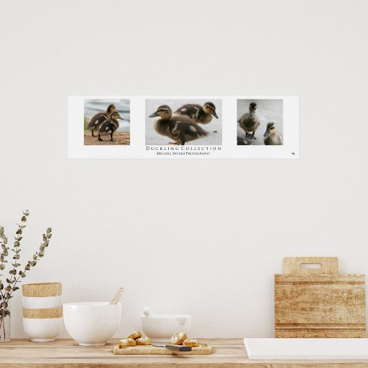 "Collectie", wit Poster (Keuken)