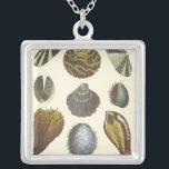 Collectie Zilver Vergulden Ketting<br><div class="desc">Als je vandaag niet op het strand kunt komen, krijg je dit klassieke afbeelding van dit unieke afbeelding van het leven van het zee van Albertus Seba! Stel je voor dat je op een strand Zee-anemonen ontdekt die de natuur moet aanbieden. Deze seizoenshellen en zee planten door de oceaan zijn...</div>