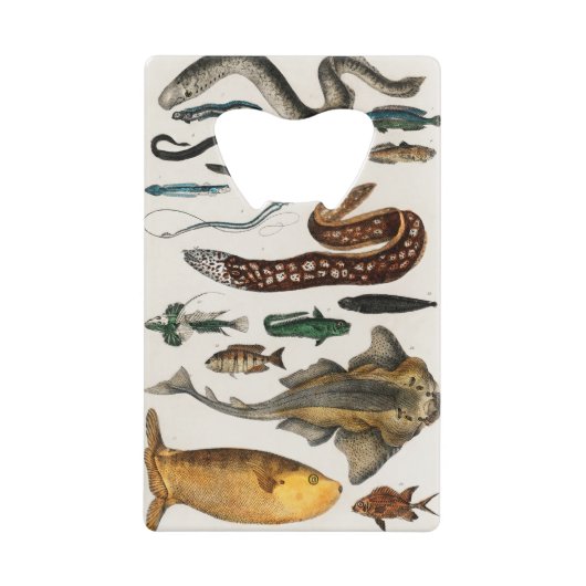 Collecties Creditkaart Flessenopener (Voorkant)