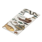 Collecties Creditkaart Flessenopener (Voorkant Gekanteld)