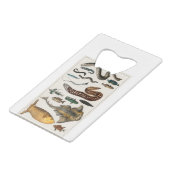 Collecties Creditkaart Flessenopener (Achterkant Gekanteld)