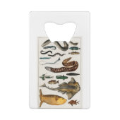 Collecties Creditkaart Flessenopener (Achterkant)