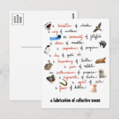 Collectieve nonnen: briefkaarten (Voorkant / Achterkant)