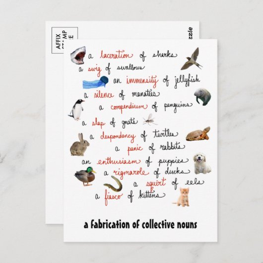 Collectieve nonnen: briefkaarten (Voorkant / Achterkant)