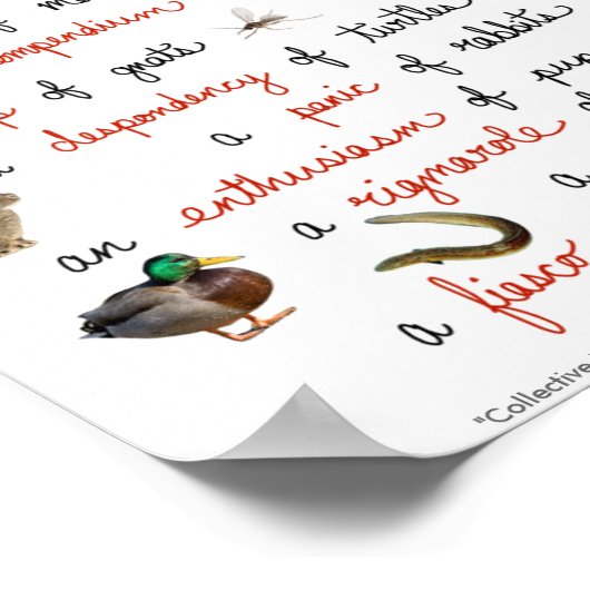 Collectieve nonnen: posters (Hoek)