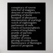 Collectieve Nouns of Birds Black and White Poster (Voorkant)