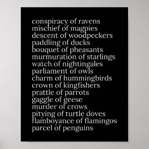 Collectieve Nouns of Birds Black and White Poster