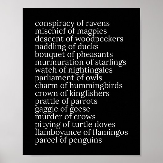 Collectieve Nouns of Birds Black and White Poster (Voorkant)