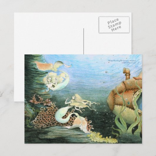 Collectieve 'Whale Watching' Briefkaart (Voorkant / Achterkant)