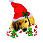 Golden Retriever Puppy Kerstmis Cadeaupapier