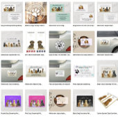 Hond Grooming Wandelen Zitten Boarding Training Visitekaartje