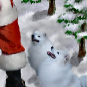 Amerikaanse Eskimo Dog Kerstmis