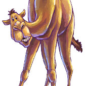 Camel Party Center Kaart