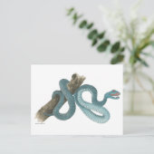 Collection Austrailian  snake Post Card Briefkaart (Staand voorkant)