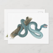 Collection Austrailian  snake Post Card Briefkaart (Voorkant / Achterkant)