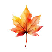 Grateful Autumn Leaf Watercolor Vierkante Sticker