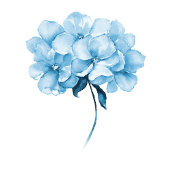 WP | Dutch Stilleven Bloemen op Bord Blauw Inpakpapier Vel