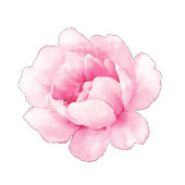 Naam, Baby shower, Extra Tekst, Bloemenrand 8oz Papieren Bekers