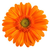 Bachelorette partijgepersonaliseerd kaart