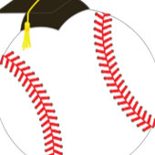 Sport van de Baseball GraduPartij Spandoek