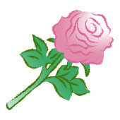 Graceful Pink Rose Etiket