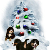 Bernese Mountain Dog-kerstversiering Keramisch Ornament