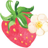 Sweet Berry geschenkdoos Bedankdoosjes