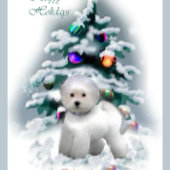 Bichon Frise Kerstmis Cadeaupapier