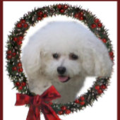 Bichon Frise Kerstmis Cadeaupapier