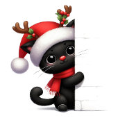 Schattigee Peeking Christmas Cat Retour Adreslabel Etiket