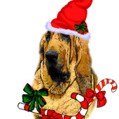 Bloodhound kerstavond cadeaupapier