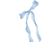 Blue Bow Bruidsfeest Recept Verzoek Bijlage