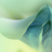 Romantische ventilator in Blue Tones Wedding Wine Etiket