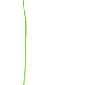 Rustieke bruiloft Blauwe wilde bloemen eenvoudige RSVP Kaartje