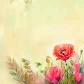 Handgeschilderde Waterverf Spring Poppies Informatiekaartje