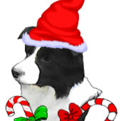 Border Collie Santa Hat Kerstmis Kleine Kerstsok