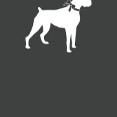 Boxer Dog Baby shower Puppy Blue Boy Bedankdoosjes