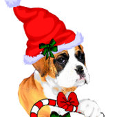 Bokser Hond Kerstmis Vrolijk Inpakpapier Vel