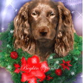 Boykin Spaniel Kerstmis Grosgrain Lint
