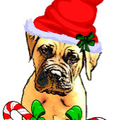 Bullmastiff kerstfeest cadeaupapier