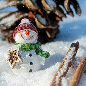 Gepersonaliseerde vakantie retour adres label