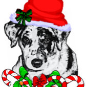 Catahoula Leopard Dog Kerstmis Inpakpapier Vel