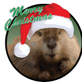 Christmas Beaver - Wit 11 oz Classic Wit Mok